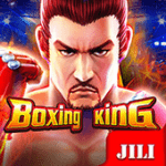 1 boxing king